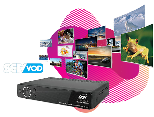 dich vu giai tri sctv vod